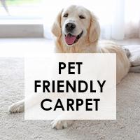 Pet Friendly Carpet