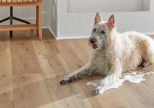 Stu's Flooring is the best vinyl flooring store serving Franklin, Wisconsin.