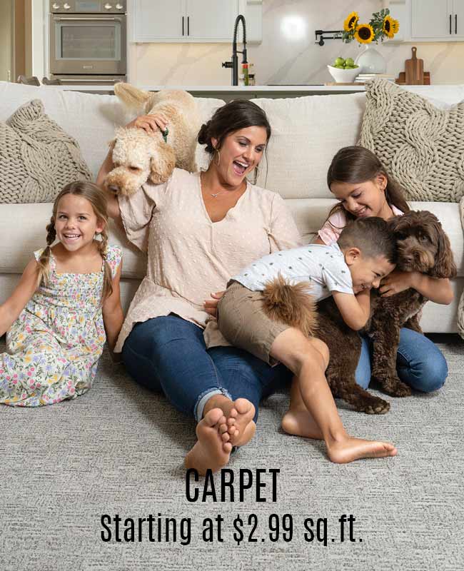 Carpet on sale starting at only $2.99 sq.ft.