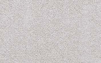 Couristan Nylon Carpet
