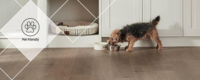 Pet friendly floors from Karndean Design Flooring.