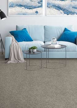 Browse carpet