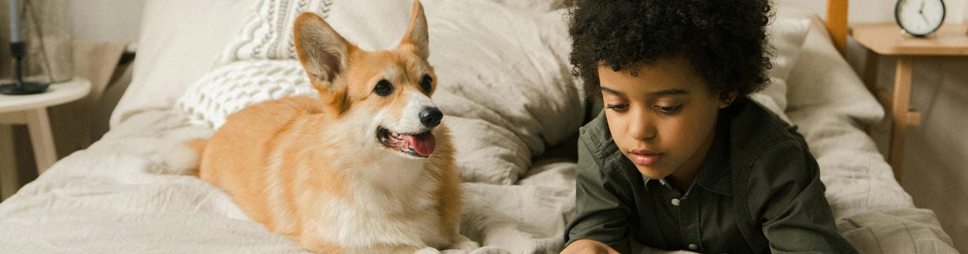 Corgi and Boy sitting on Bed